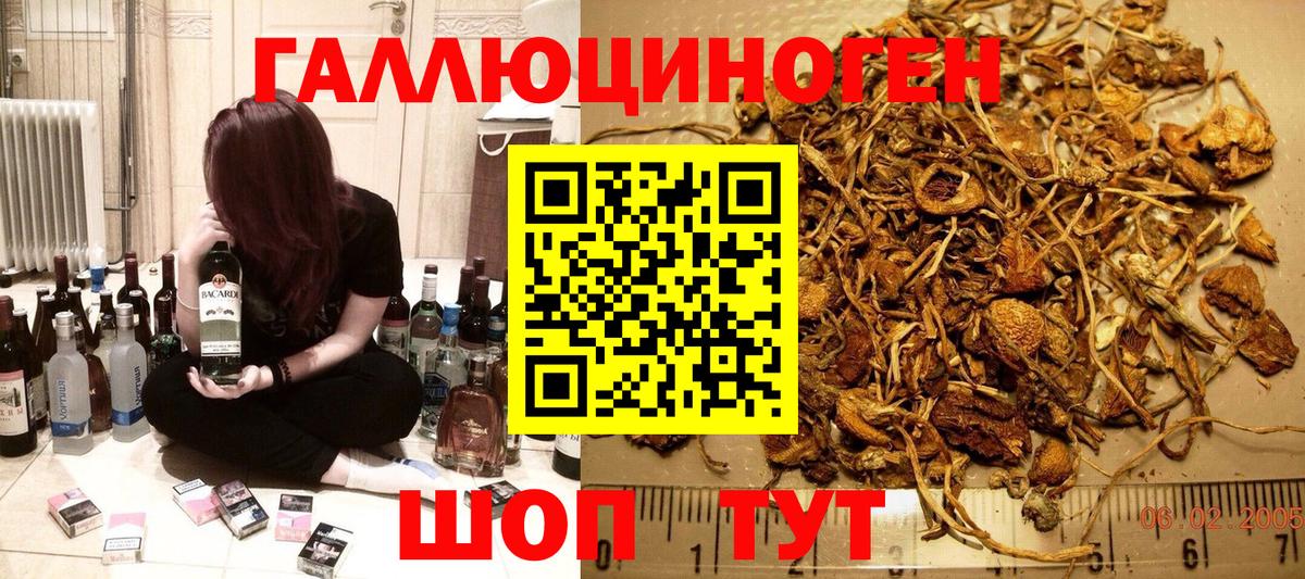 Красноперекопск  Галлюциногенные грибы GOLDEN TEACHER  Вход с VPN  Псилоцибиновые грибы мухоморы 